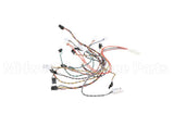 B6807501 Pitco Wrg,Harn Com Box Sos