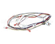 B6811201 Pitco Wrg,Heat Control Self