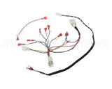 B6811701 Pitco Wrg,Gas Valve & Ign Sglvrf