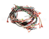 R13035 American Range Harness,Wire Arofe/Arosge Wall