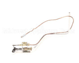 B8025415-C Pitco Pg,Plt Assembly 14R Tcpl Nat