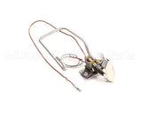 B8032103-C Pitco Pg,Plt Assembly Sg Ce Nat