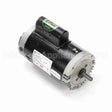 B817 Century Pool And Spa Pump Motor