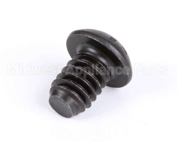 1107 Globe Roller Retaining Screw