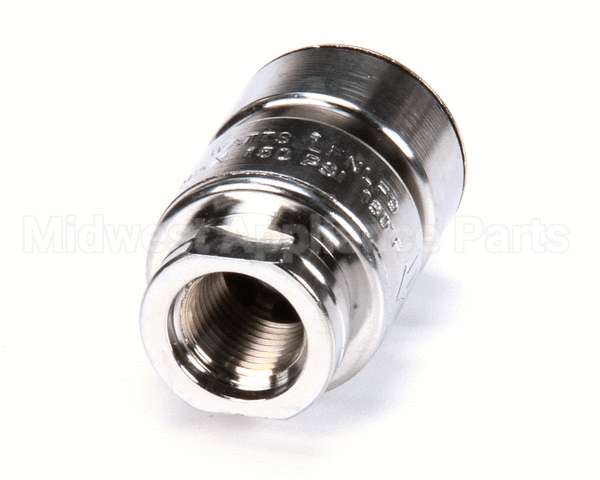 BL-5550-09 T&S Brass Vacuum Breaker, Anti-Siphon, 3/8 Npt Mal