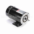 BN35V1 Century Pool And Spa Pump Motor
