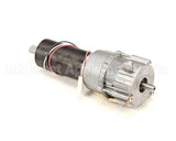 BR0256 Stoelting Complete Gear Motor