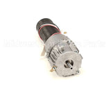 BR0256 Stoelting Complete Gear Motor