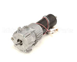BR0256 Stoelting Complete Gear Motor