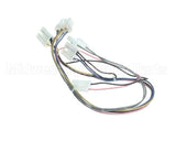 BU195-601 Rinnai Modulating Solenoid Valve Harn 24