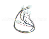 BU195-601 Rinnai Modulating Solenoid Valve Harn 24