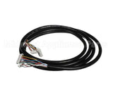 C1500 Continental Refrigeration Cable, Connection Pjez Spl 1.5