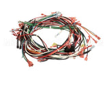 R13035 American Range Harness,Wire Arofe/Arosge Wall