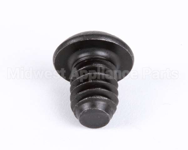 1107 Globe Roller Retaining Screw