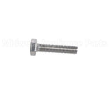 C8003058 Convotherm Hexagon Bolt M8X35 A2 P3