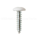 WE2M225 GE Screw White 10-16 3/4