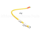 CAN1675NPFS48 Dormont Mfg Safety System Stationary Gas Connect