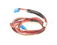 CB-38353 Alto Shaam Cable, Cb To Vfd Daisy-Chain