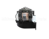 CD166L Grindmaster Cecilware Fan 240V Blower- Gb/Java
