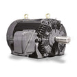 CDP0756 Teco Motor