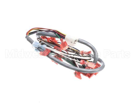 CF19AL Grindmaster Cecilware Harness - Gb1/2/3 Door