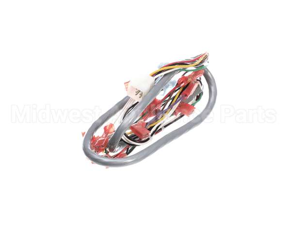 CF19AL Grindmaster Cecilware Harness - Gb1/2/3 Door