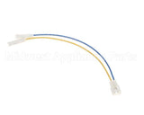 CH138L Grindmaster Cecilware 2-Wire Pigtail-Liq Probe-Gb8
