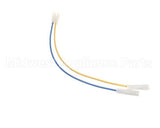 CH138L Grindmaster Cecilware 2-Wire Pigtail-Liq Probe-Gb8