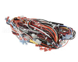 CH145L Grindmaster Cecilware Harness R/Gb8M10