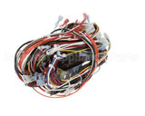 CH145L Grindmaster Cecilware Harness R/Gb8M10