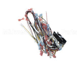 CH362 Grindmaster Cecilware Harness (1&2 Brew) - Fen Urn