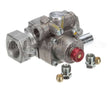 CK1027001 Garland Auto Safety Valve 1/2 Npt Kit