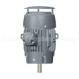 CNT60P2FG US Motors Nidec Vertical Solid Shaft Motor