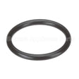 D10-X021 Encore O-Ring