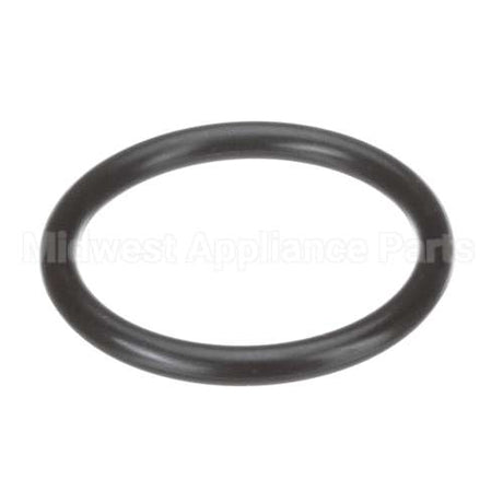 D10-X021 Encore O-Ring
