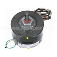 D1065 Fasco Oem Replacement Motor