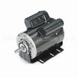 D115 Leeson Motor