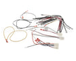 D12541R Nordyne Wiring Harness
