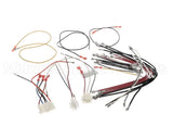 D12541R Nordyne Wiring Harness
