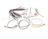D12541R Nordyne Wiring Harness