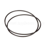 D2-566 Insinger O Ring