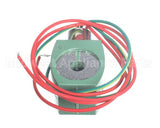 D2930C Insinger Solenoid Coil Only