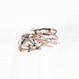 D517222 Speed Queen Assy Harn Elec 1Ph Rc W/Lt Bbs