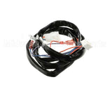 8075863 Frymaster Harness,Fv Gas Jlov Unit Wirng