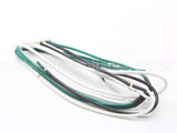 DRWH-120 Detroit Radiant Wiring Harness