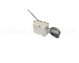 DX014001209 Dinex Thermostat, Control, 170C