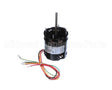 DX186140360 Dinex Motor 115V