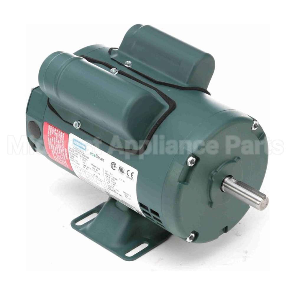 E100006.00 Leeson Motor