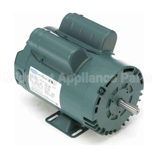 E110004.00 Leeson Motor