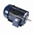 E2121 Marathon Motor